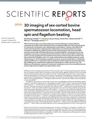 3D Imaging of Sex-Sorted Bovine Spermatozoon Locomotion, Head