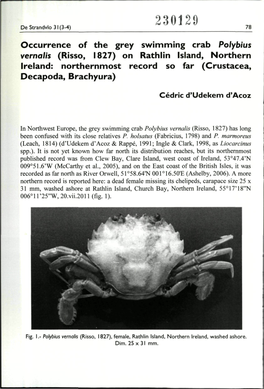 Occurrence of the Grey Swimming Crab Polybius Vernalis (Risso, 1827) on Rathiln Island, Northern Ireland: Northernmost Record So Far (Crustacea, Decapoda, Brachyura)