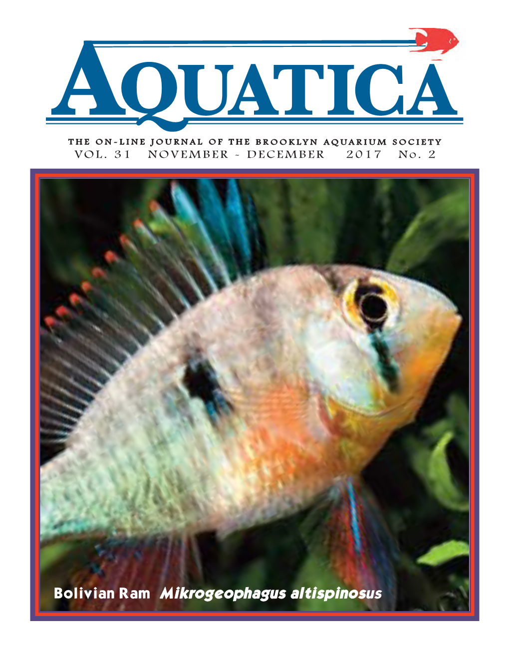 Bolivian Ram Mikrogeophagus Altispinosus 1 106 YEARS of E DUCATING a QUARISTS AQUATICA VOL