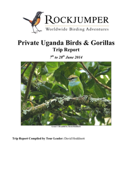 Private Uganda Birds & Gorillas