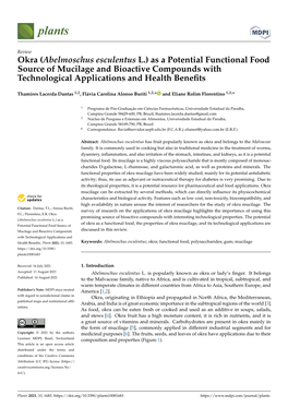 Okra (Abelmoschus Esculentus L.) As a Potential Functional Food Source of Mucilage and Bioactive Compounds with Technological Applications and Health Beneﬁts