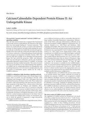 Calcium/Calmodulin-Dependent Protein Kinase II: an Unforgettable Kinase