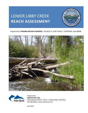 Lower Libby Creek Reach Assessment