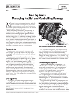 Tree Squirrels: Managing Habitat and Controlling Damage