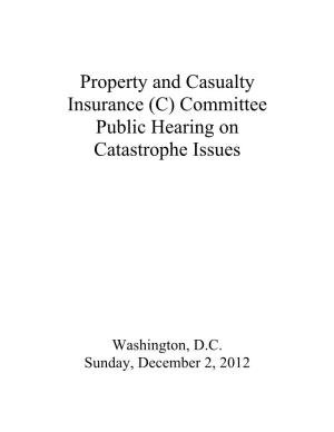 Property and Casualty Insurance (C) Committee Public Hearing on Catastrophe Issues