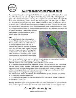 Twenty Eight Parrot Australian Ringneck Caresheet