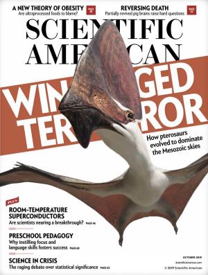 How Pterosaurs Evolved to Dominate the Mesozoic Skies