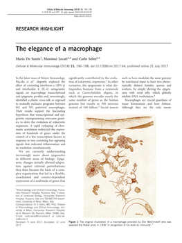 The Elegance of a Macrophage