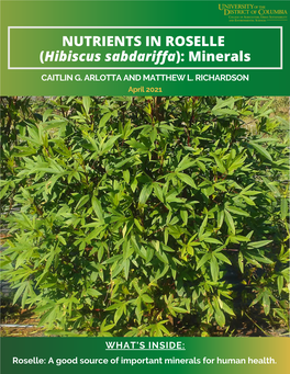 Nutrients in Roselle (Hibiscus Sabdariffa): Minerals Fact Sheet