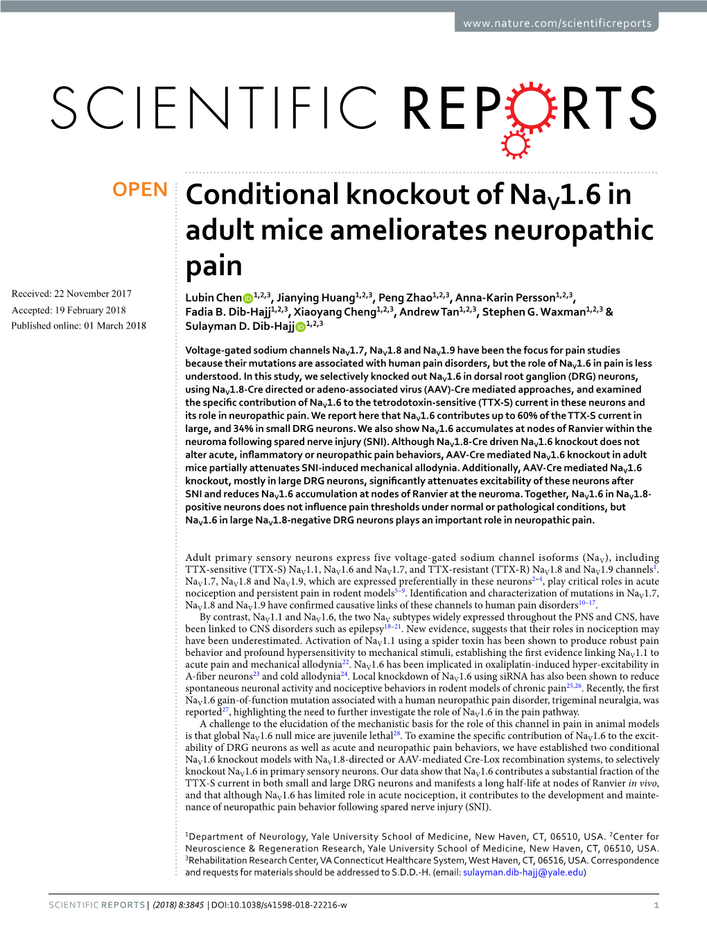 Conditional Knockout of Nav1.6 in Adult Mice Ameliorates Neuropathic Pain