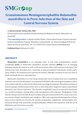 Granulomatous Meningoencephalitis Balamuthia Mandrillaris in Peru: Infection of the Skin and Central Nervous System