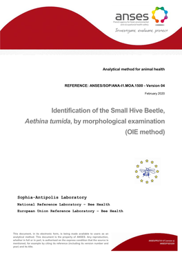 Identification of the Small Hive Beetle, Aethina Tumida, by Morphological Examination (OIE Method)