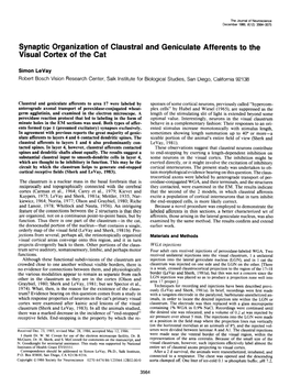 Synaptic Organization of Claustral and Geniculate Afferents to the Visual Cortex of the Cat