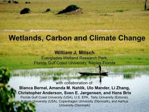 Wetlands, Carbon and Climate Change