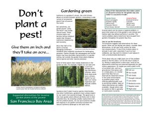 Don't Plant a Pest!