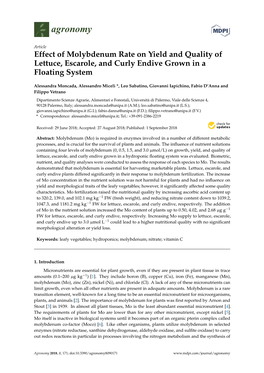 Effect of Molybdenum Rate on Yield and Quality of Lettuce, Escarole, and Curly Endive Grown in a Floating System