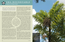 SMA ROUNDTABLE Palms in the Urban Forest