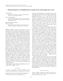Characterization of a Basidiomycete Fungus from Stored Sugar Beet Roots