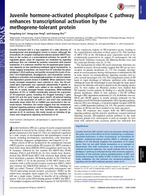 Juvenile Hormone-Activated Phospholipase C Pathway PNAS PLUS Enhances Transcriptional Activation by the Methoprene-Tolerant Protein