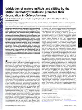 Uridylation of Mature Mirnas and Sirnas by the MUT68 Nucleotidyltransferase Promotes Their Degradation in Chlamydomonas