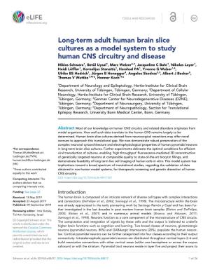 Long-Term Adult Human Brain Slice Cultures As a Model System to Study