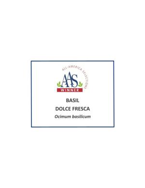 Basil Dolce Fresca