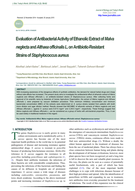 Evaluation of Antibacterial Activity of Ethanolic Extract of Malva Neglecta and Althaea Officinalis L. on Antibiotic-Resistant Strains of Staphylococcus Aureus