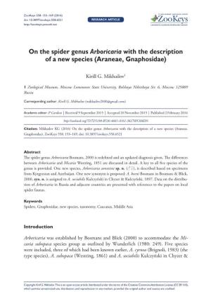 On the Spider Genus Arboricaria with the Description of a New Species (Araneae, Gnaphosidae)