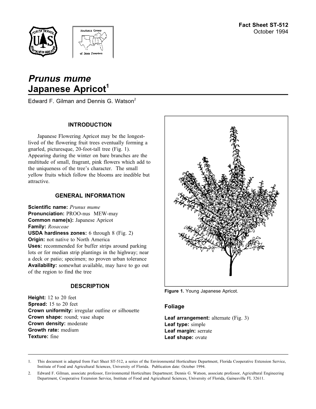 Prunus Mume Japanese Apricot1 Edward F