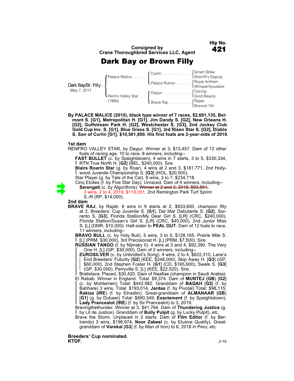 421 Dark Bay Or Brown Filly