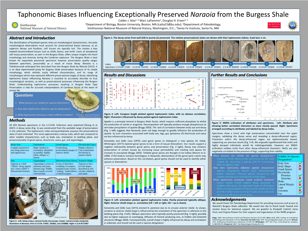 Taphonomic Biases Influencing Exceptionally Preserved Naraoia from the Burgess Shale Calder J
