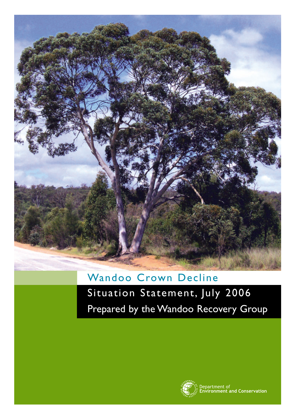 2006120 Wandoo Report