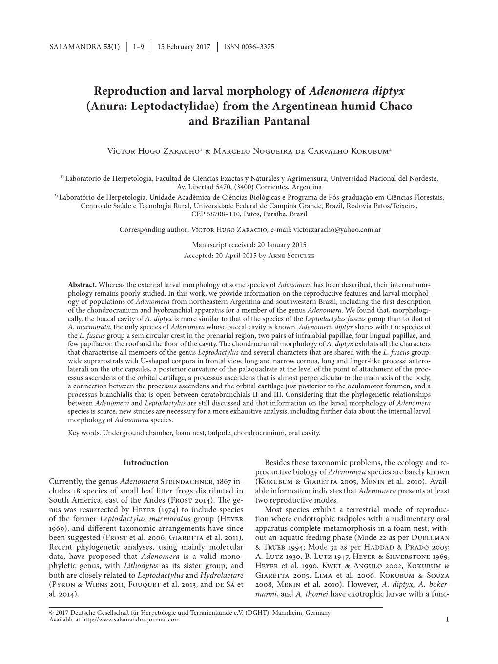 Reproduction and Larval Morphology of Adenomera Diptyx (Anura: Leptodactylidae) from the Argentinean Humid Chaco and Brazilian Pantanal