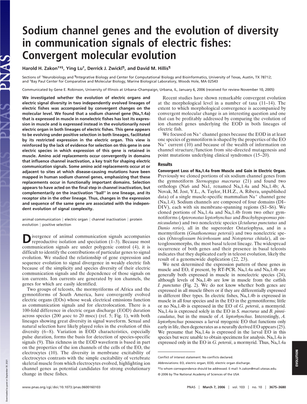 Sodium Channel Genes and the Evolution of Diversity in Communication Signals of Electric Fishes: Convergent Molecular Evolution