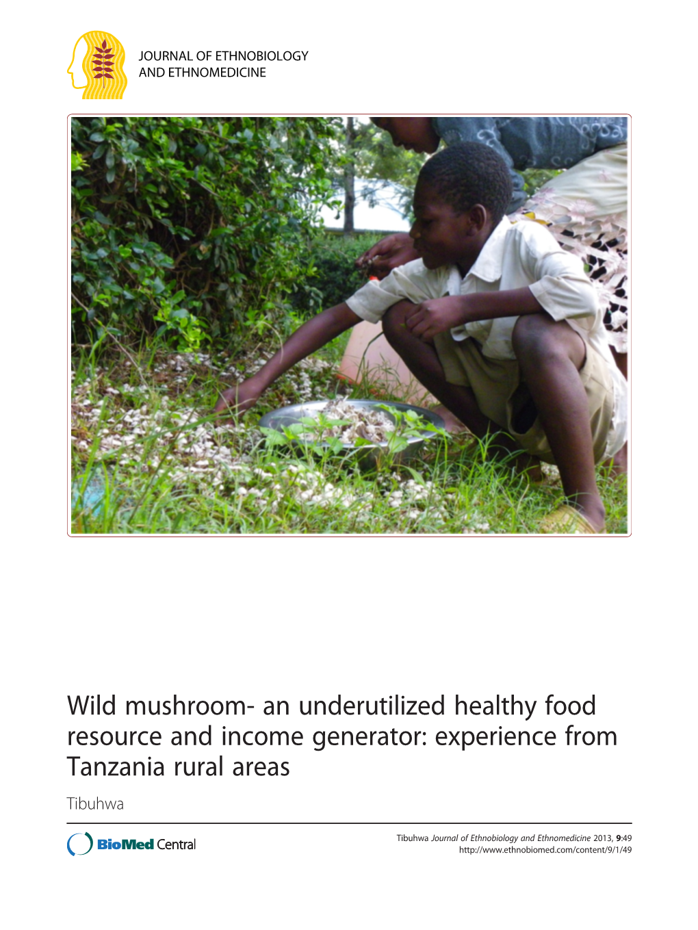 Wild Mushroom- an Underutilized Healthy Food Resource and Income Generator: Experience from Tanzania Rural Areas Tibuhwa