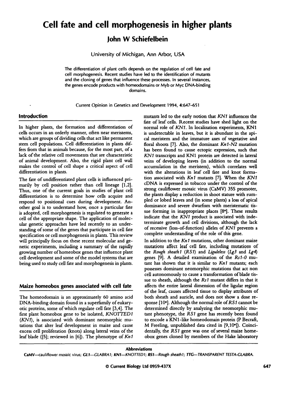 Cell Fate and Cell Morphogenesis in Higher Plants