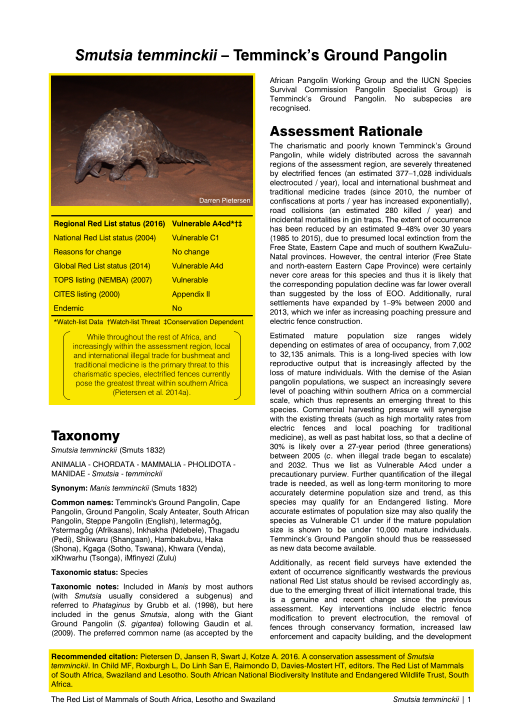 Smutsia Temminckii – Temminck's Ground Pangolin