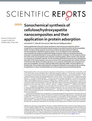 Sonochemical Synthesis of Cellulose/Hydroxyapatite