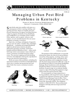 Managing Urban Pest Bird Problems in Kentucky Thomas G