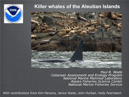 Wade Cetacean Assessment and Ecology Program National Marine Mammal Laboratory Alaska Fisheries Science Center National Marine Fisheries Service