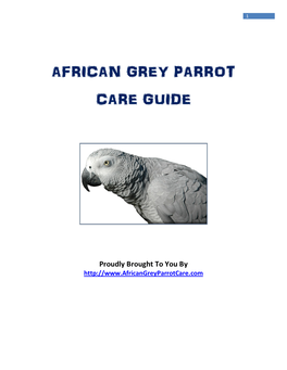 African Grey Parrot Care Guide