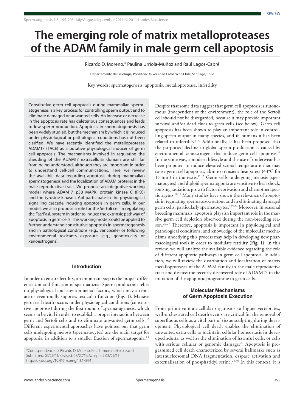 The Emerging Role of Matrix Metalloproteases of the ADAM Family in Male Germ Cell Apoptosis