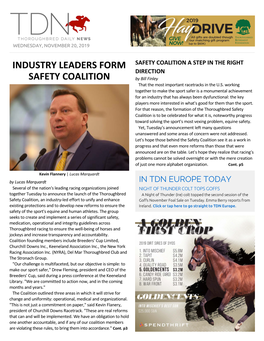INDUSTRY LEADERS FORM SAFETY COALITION a STEP in the RIGHT DIRECTION SAFETY COALITION by Bill Finley That the Most Important Racetracks in the U.S