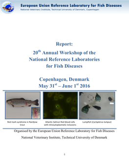 Report: 20 Annual Workshop of the National Reference Laboratories for Fish Diseases Copenhagen, Denmark May 31 – June 1 2016