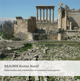 BAALBEK Bustan Nassif Conservation and Presentation of a Medieval Town Quarter