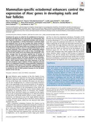Mammalian-Specific Ectodermal Enhancers Control the Expression of Hoxc Genes in Developing Nails and Hair Follicles