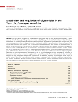 Metabolism and Regulation of Glycerolipids in the Yeast Saccharomyces Cerevisiae