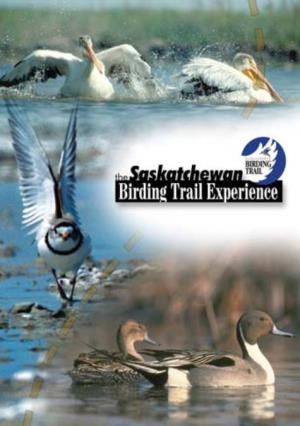 Saskatchewan Birding Trail Experience (Pdf)