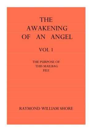 The Awakening of an Angel. Mailbag Purpose