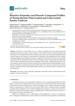 Bioactive Properties and Phenolic Compound Profiles of Turnip